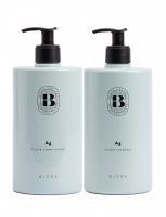 Björk - AG Silver duo 750 ml