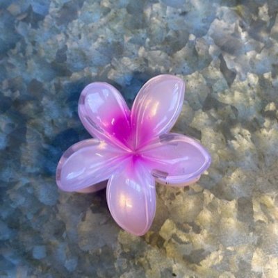 Hårklämma - Summer flower pink