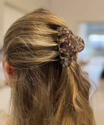 Hårklämmor hairclaw